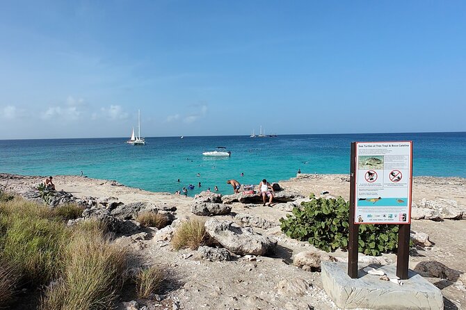 Aruba Turtle Spotting Snorkeling Adventure - Why Jonathan’s guidance matters