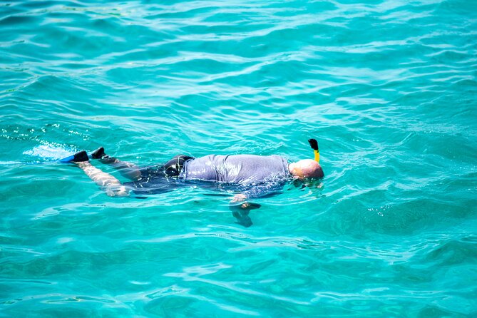 Arusun Catamaran Sail with Snorkeling in Aruba - First snorkel stop: the Antilla Shipwreck