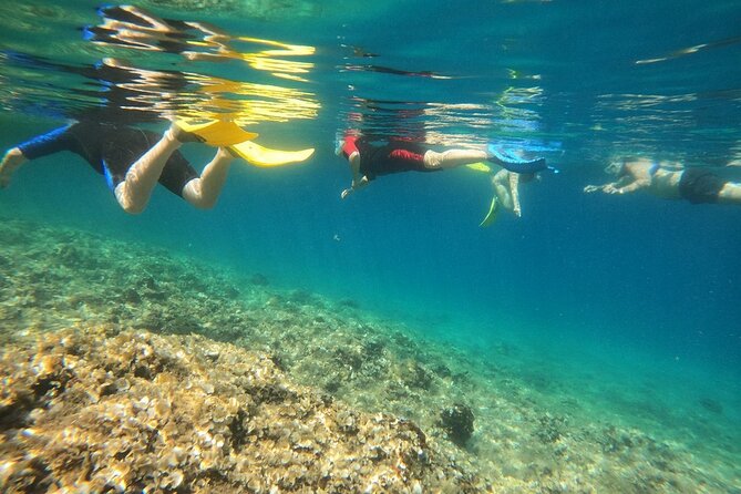Athens, Nea Makri: Guided Small Group Snorkeling Boat Excursion - Schinias Bay brings a gentler second act