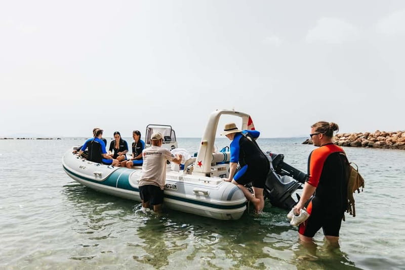 Athens, Nea Makri: Guided Small Group Snorkeling Boat Trip - Best time to go and what to bring