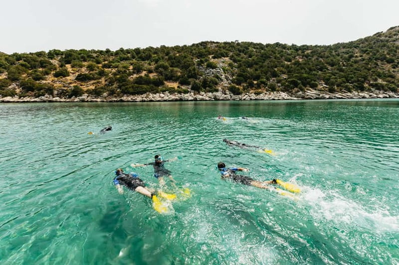 Athens, Nea Makri: Guided Small Group Snorkeling Boat Trip - Who should book this outing?