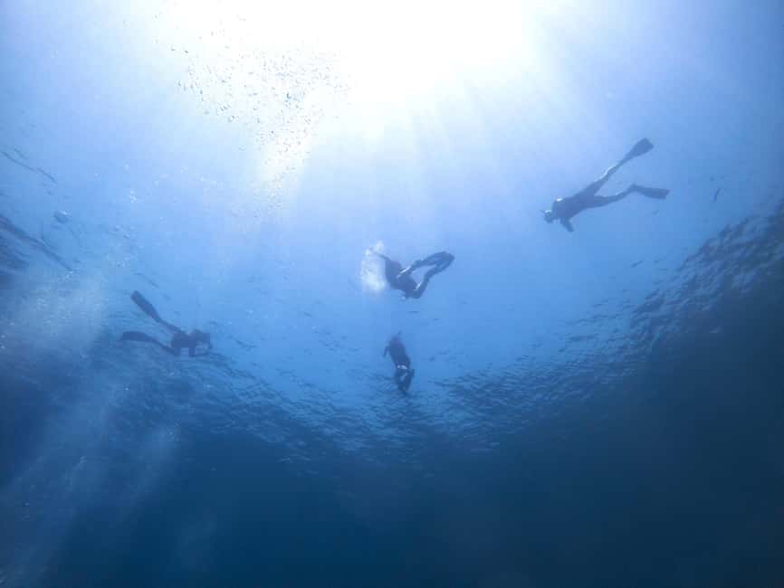 Athens: Snorkeling Riviera Adventure - From Alimos Metro to the Athens Riviera