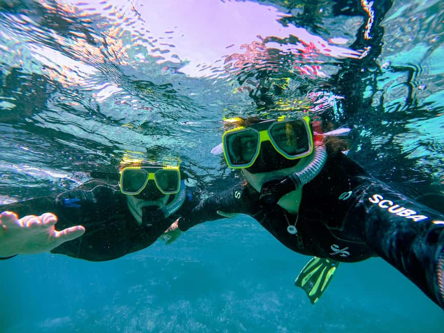 Athens: Snorkeling Riviera Adventure - A Three-Hour Coastal Session