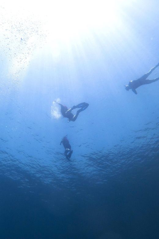 Athens: Snorkeling Riviera Adventure - Is $106 a Fair Price?