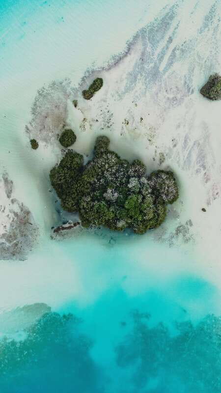 Bacalar & Cenotes: 3 hours kayak rental with snorkeling gear - Key points to know before paddling