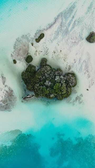 Bacalar & Cenotes: 3 hours kayak rental with snorkeling gear - Should you book it?