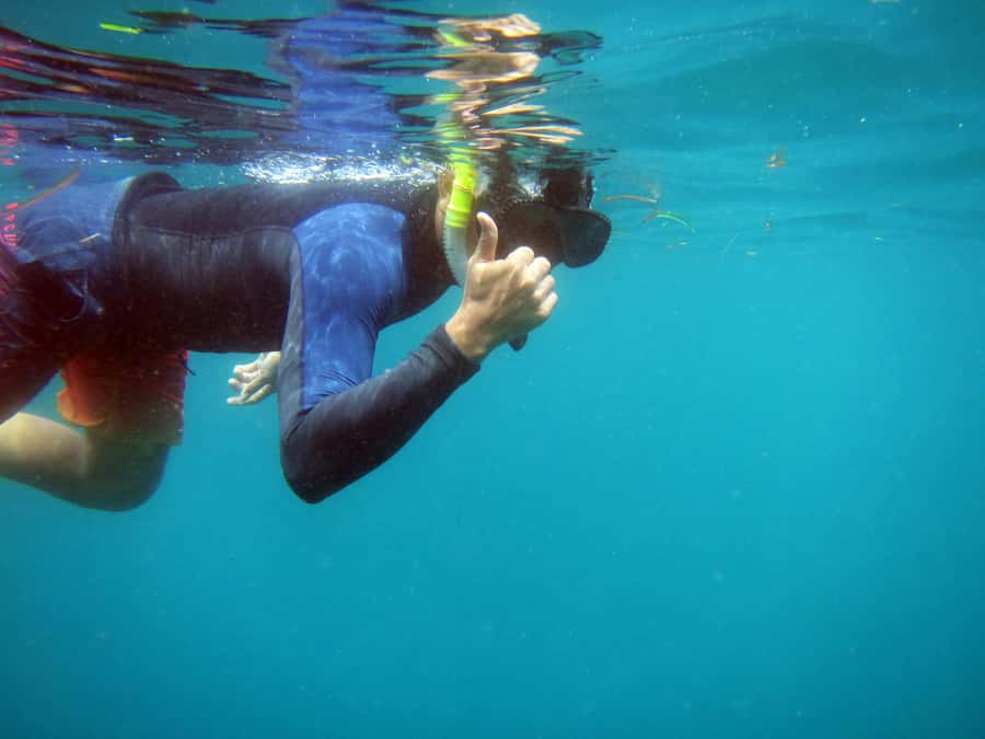 Bali: 1 Hour Snorkeling at Nusa Dua Beach - Key points to know before booking