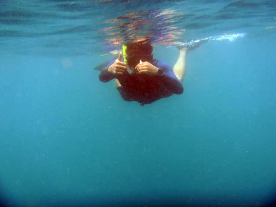 Bali: 1 Hour Snorkeling at Nusa Dua Beach - What the one-hour water session is meant to offer