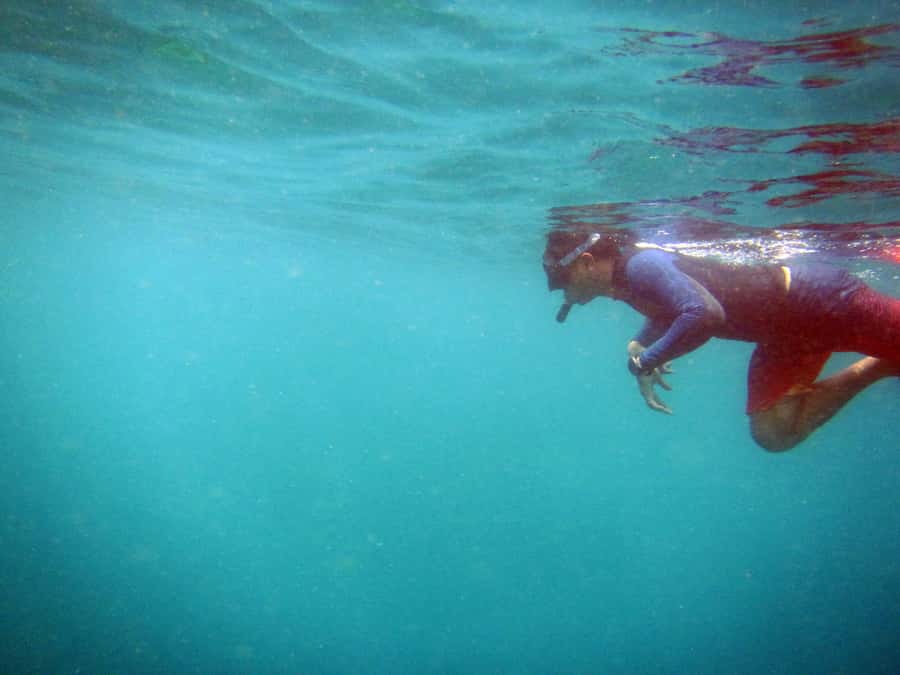 Bali: 1 Hour Snorkeling at Nusa Dua Beach - Why weather and sea conditions are the big variable