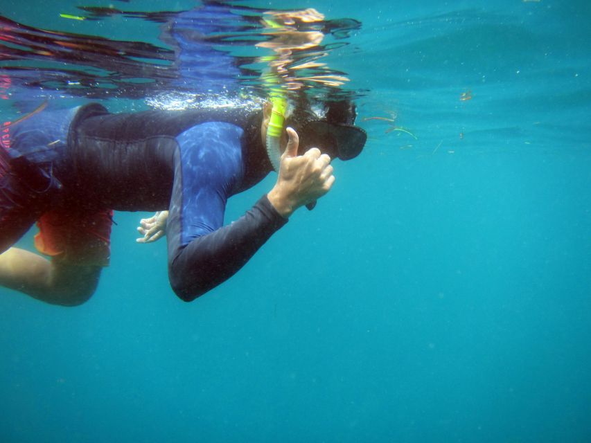 Bali: 1 Hour Snorkeling at Nusa Dua Beach - A realistic look at the value of $13
