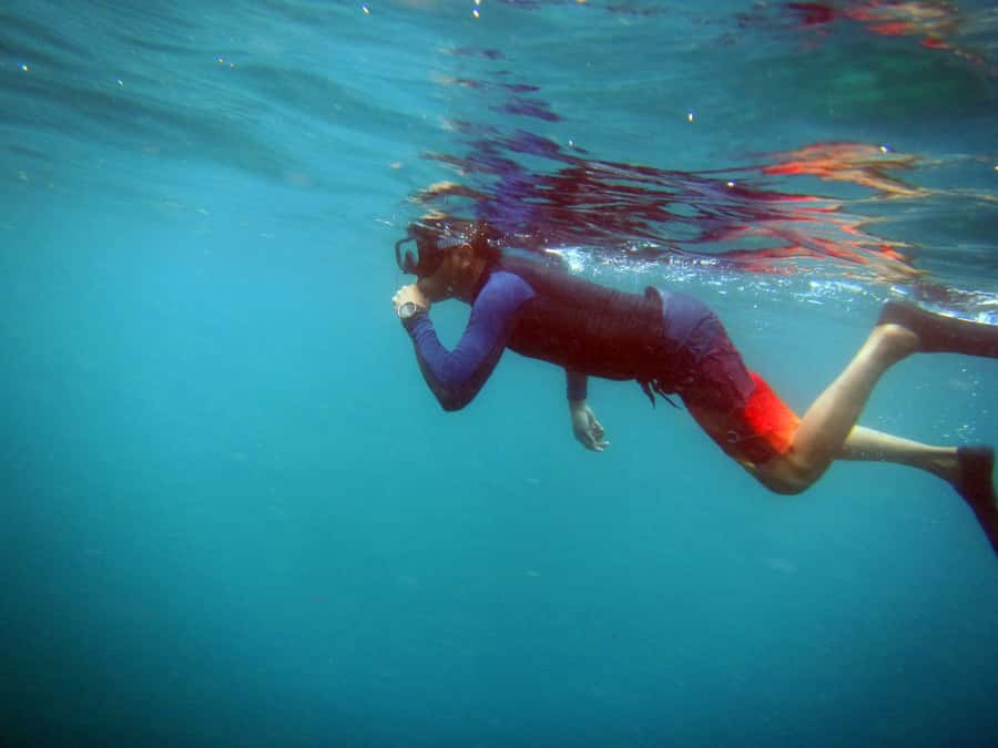 Bali: 1 Hour Snorkeling at Nusa Dua Beach - Who will enjoy this snorkeling trip most