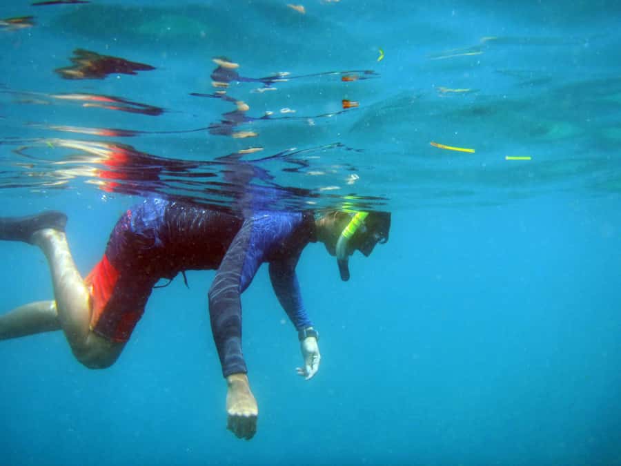 Bali: 1 Hour Snorkeling at Nusa Dua Beach - My final call: book it for convenience, not perfect reefs