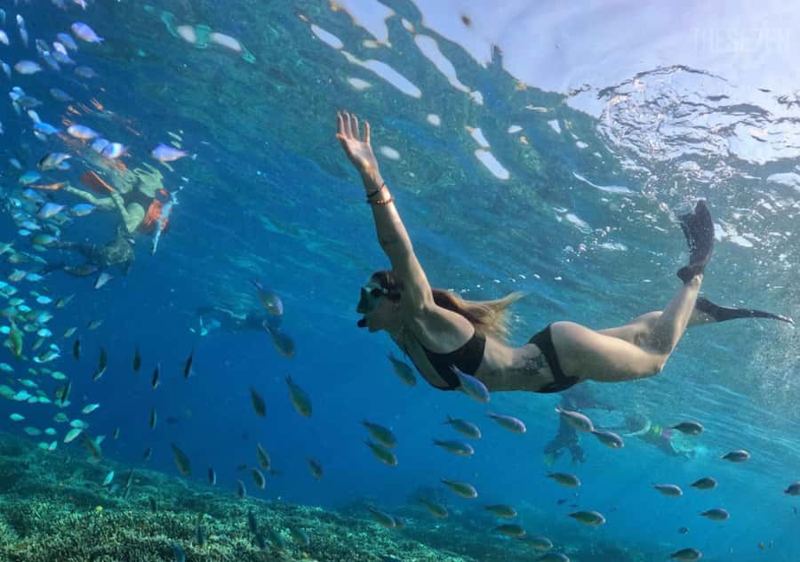 Bali: 3-Day Private Gili Islands Snorkel Tour with Hotel - What the $399 price really covers