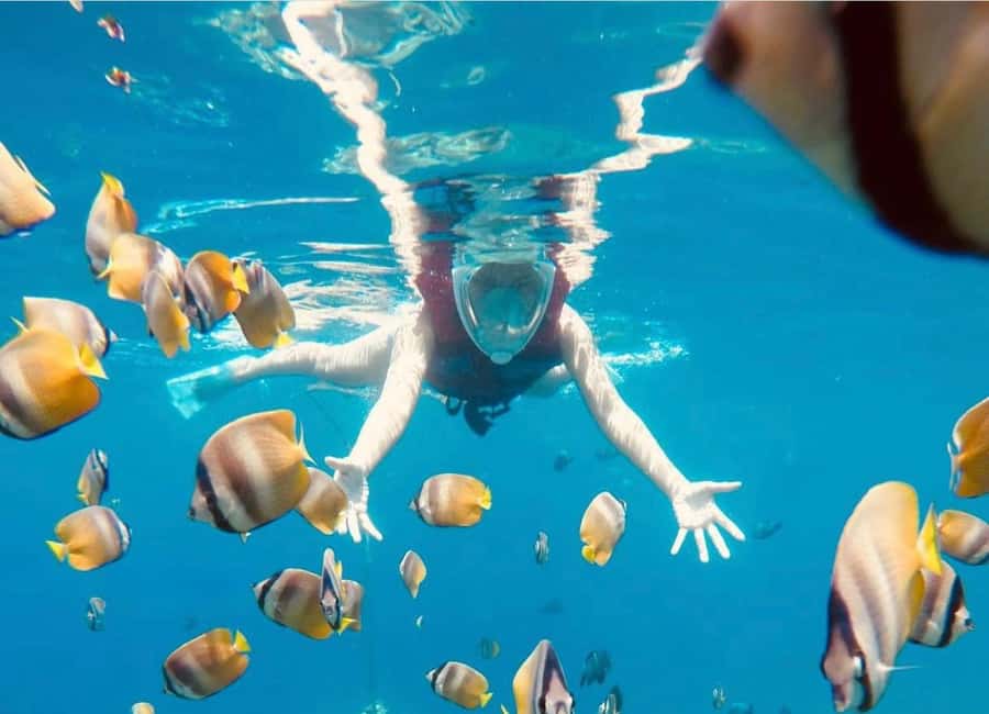 Bali: Amed, Jemeluk & Lipah Beach Snorkeling Adventure - Jemeluk Bay: the main underwater stop