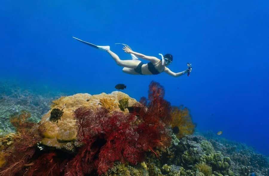 Bali/Amed: Underwater Temple Snorkeling Experience - Japanese Shipwreck: a historic first stop