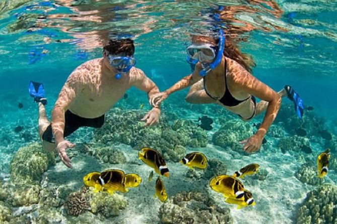 Bali ATV Blue Lagoon Snorkeling Private Guided Tour Free WiFi - Beachside lunch keeps the schedule practical