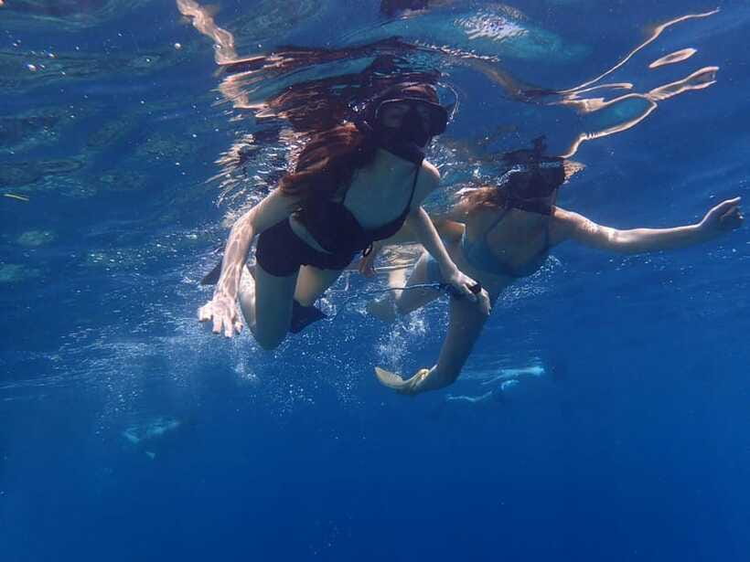 Bali: Basic Snorkeling at Menjangan Island - The island stop, deer, and lunch question