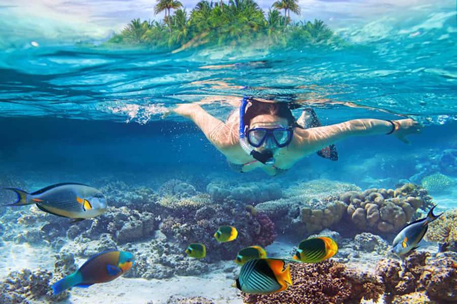Bali: Blue Lagoon Beach Snorkeling Tour with Lunch - Key points at a glance