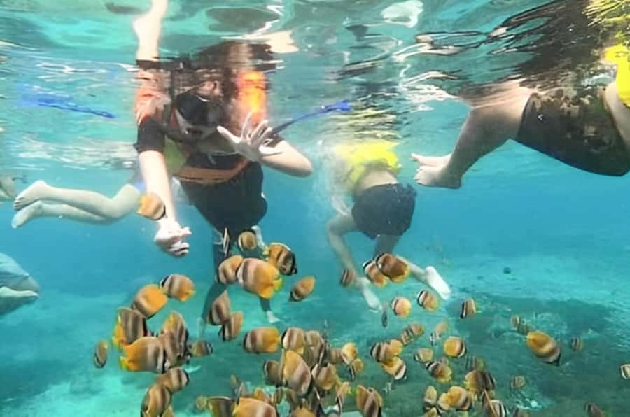 Bali: Blue Lagoon Beach Snorkeling Tour with Lunch - The main drawbacks to understand