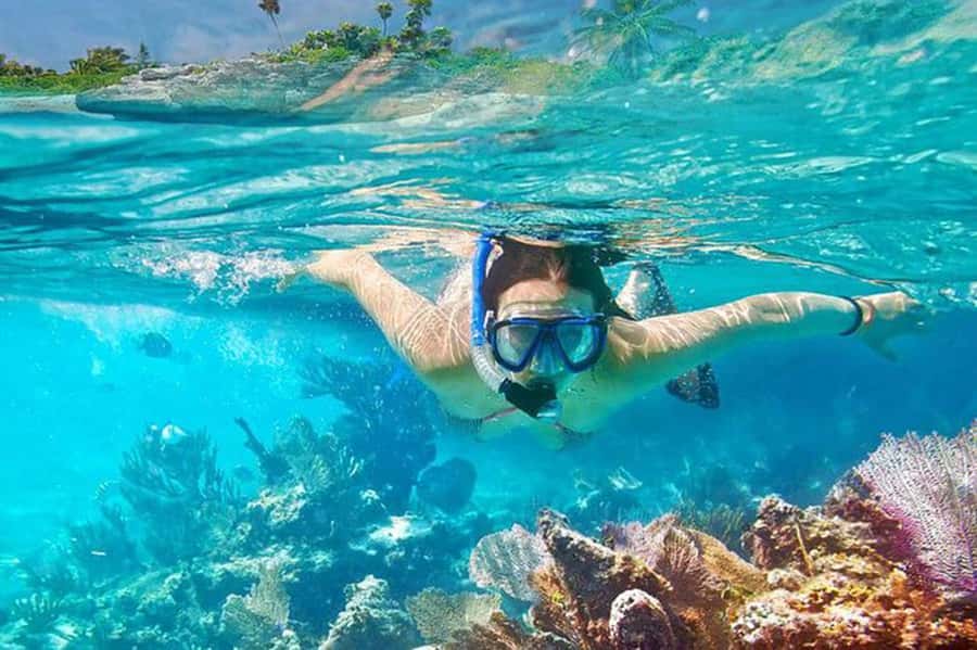 Bali: Blue Lagoon Beach Snorkeling Tour with Lunch - What you may see beneath the surface