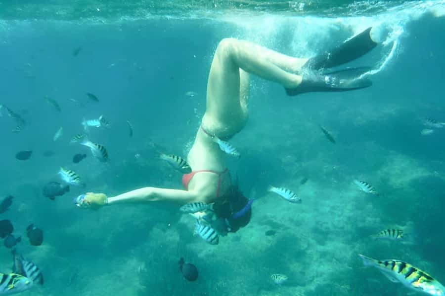 Bali: Blue Lagoon Beach Snorkeling Tour with Lunch - Why the guide can make or break the morning