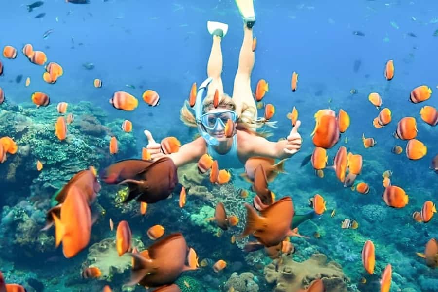 Bali: Blue Lagoon Beach Snorkeling Tour with Lunch - Meeting at Puri Rai Restaurant in Padangbai
