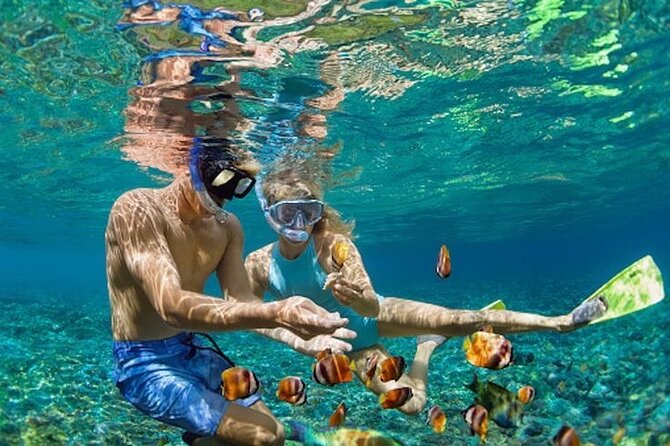 Bali Blue Lagoon Snorkeling - Lunch and Transport All Inclusive - What this $39 private tour really includes