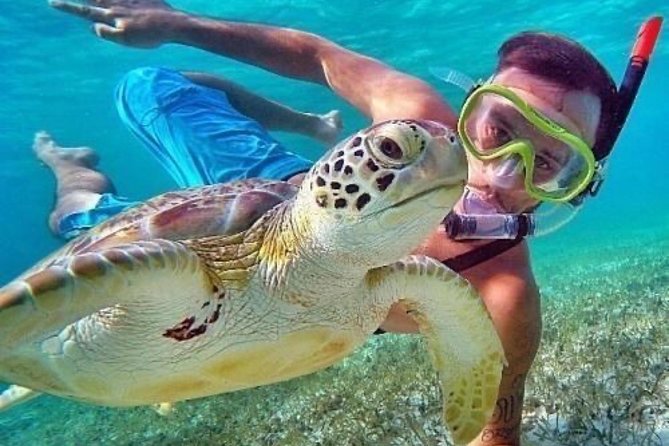 Bali Blue Lagoon Snorkeling - Lunch and Transport All Inclusive - Coffee, tea, and a slower local stop