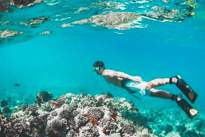 Bali Blue Lagoon Snorkeling - Lunch and Transport All Inclusive - Lunch after the sea
