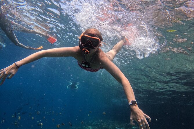 Bali Blue Lagoon Snorkeling - Lunch and Transport All Inclusive - The driving is the tradeoff