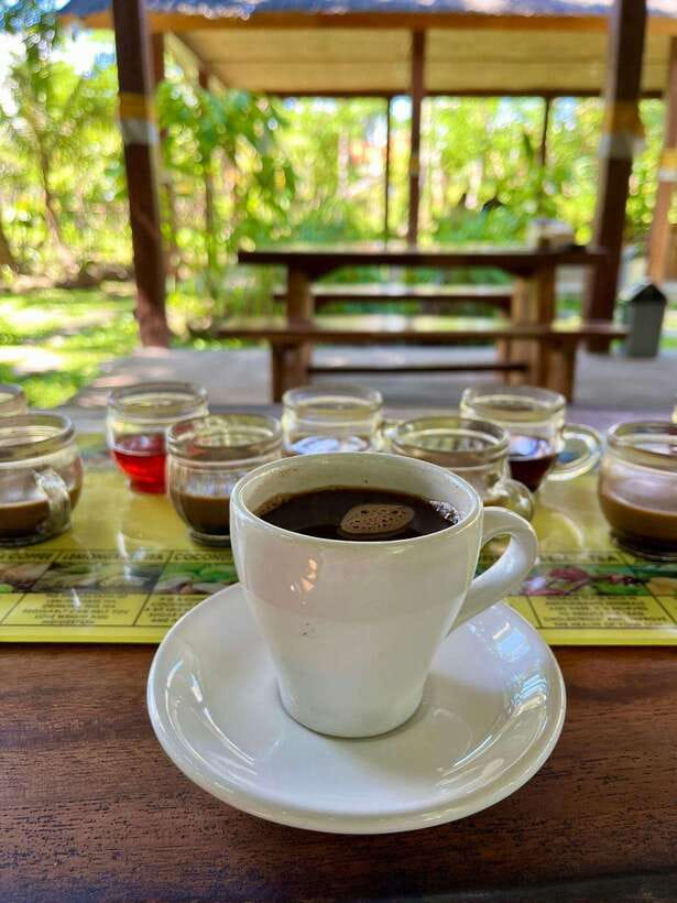 Bali: Blue Lagoon Snorkeling, Waterfall, and Plantation - Key points at a glance