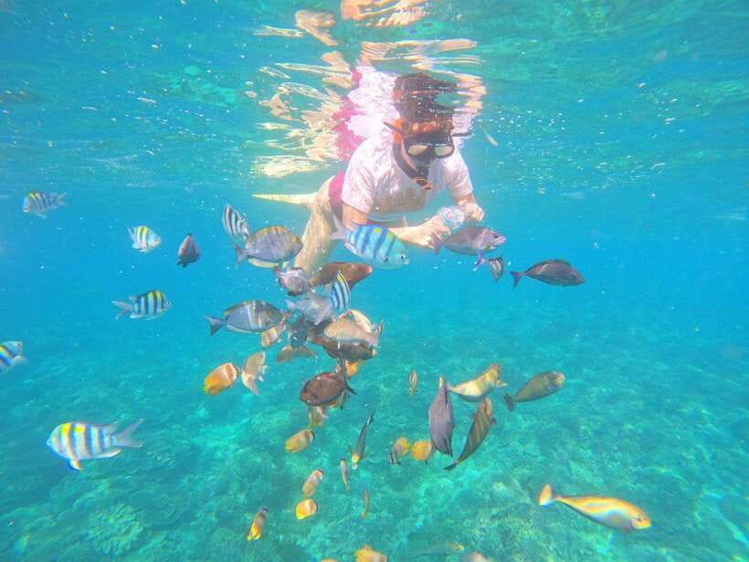 Bali: Blue Lagoon Snorkeling & Waterfall Tour - Beach lunch gives the middle of the day a pause