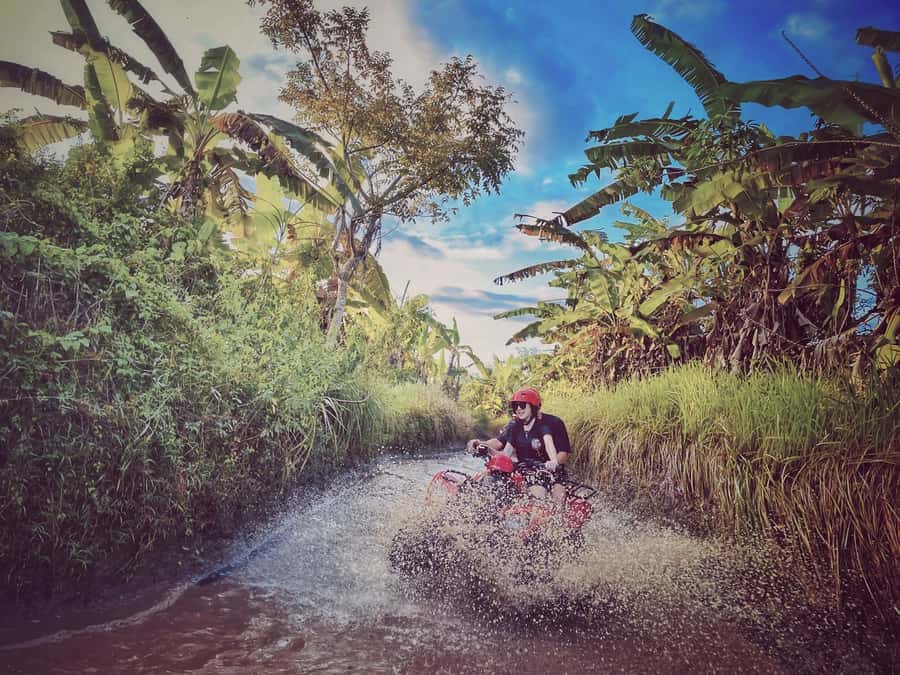 Bali: Blue Lagoon Snorkeling & Waterfall Tour with Lunch - Who should book this tour?