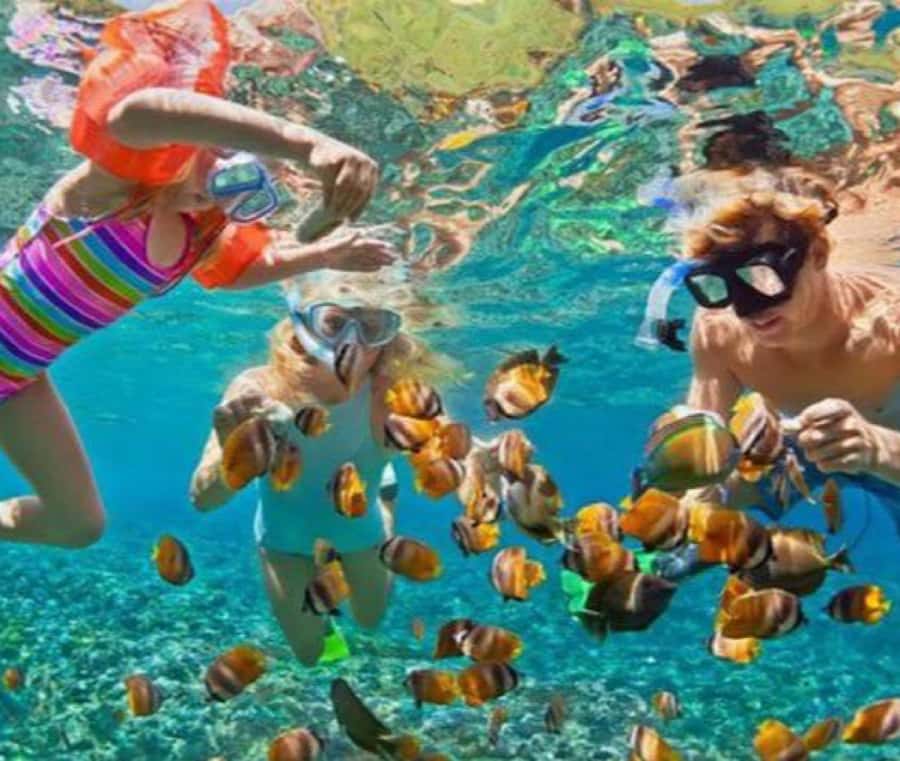 Bali: Blue Lagoon Snorkeling & Waterfall Tour with Lunch - Transport, timing, and the real length of the day