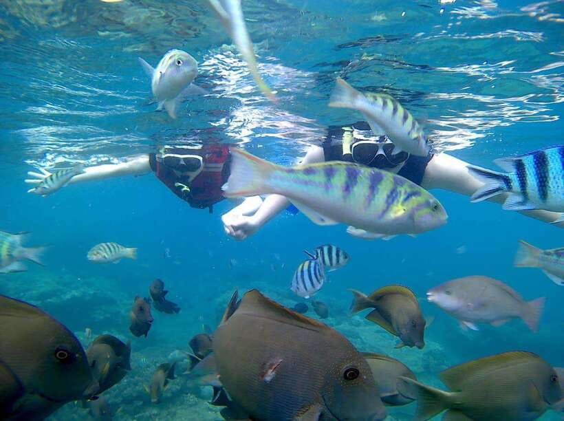 Bali: Blue Lagoon Snorkeling & Waterfall Tour - Blue Lagoon: an easy start in clear water