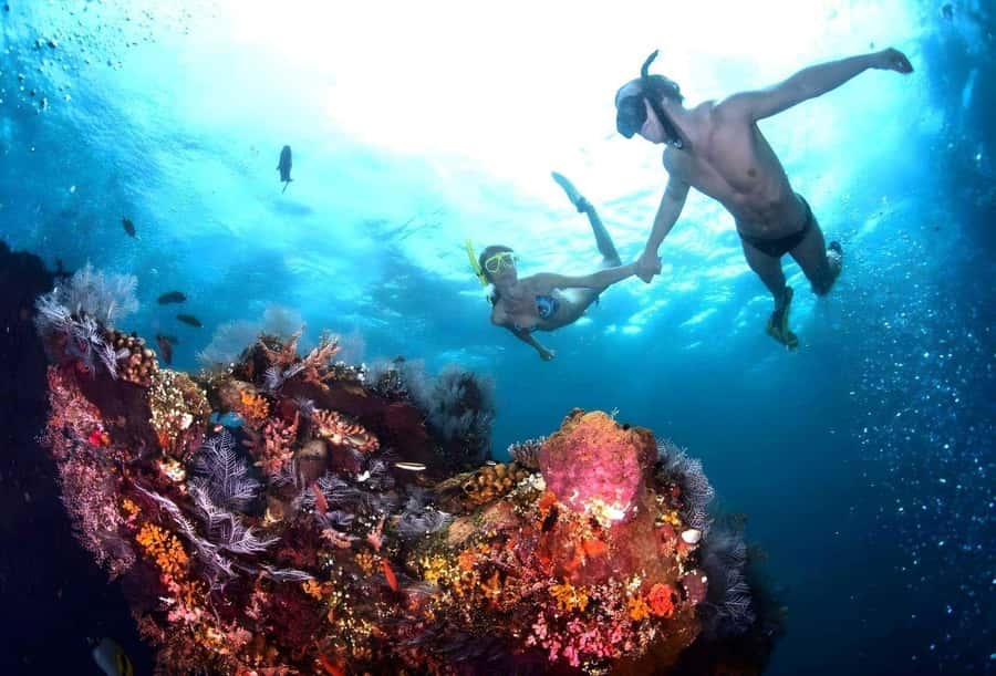 Bali: Blue Lagoon Snorkeling with Lunch & Transport - Key Points Before You Book