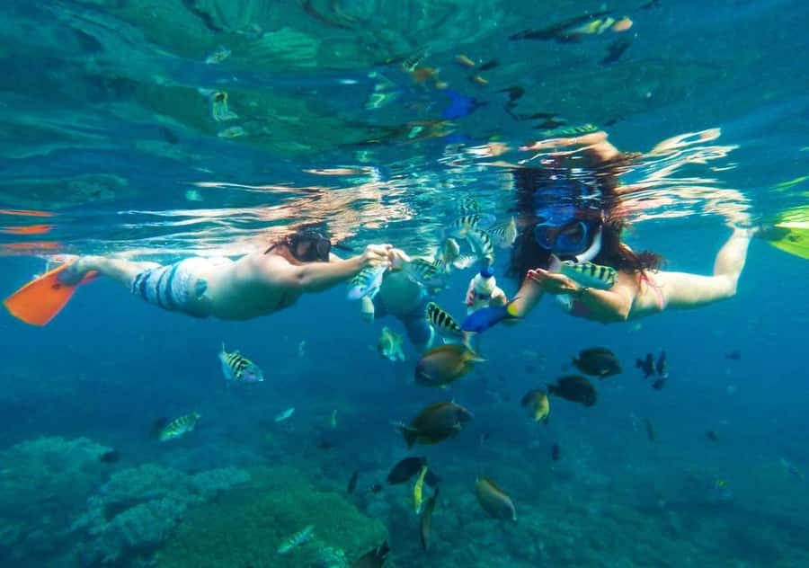 Bali: Blue Lagoon Snorkeling with Lunch & Transport - What the $46 Price Really Covers