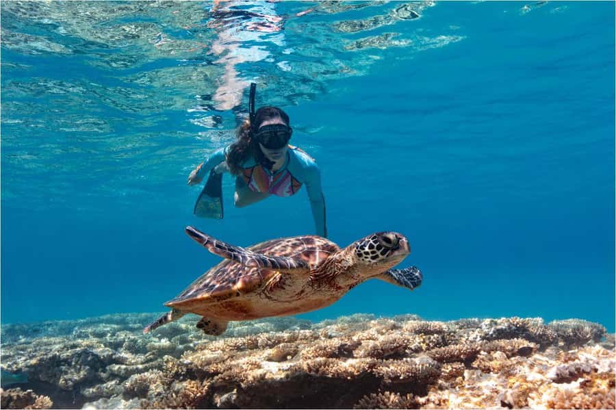 Bali: Blue Lagoon Snorkeling with Lunch & Transport - Blue Lagoon Beach and the First Swim