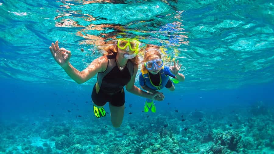 Bali: Blue Lagoon Snorkeling with Lunch & Transport - Who Will Enjoy This Bali Snorkeling Trip
