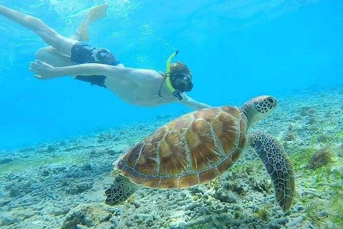 Bali Blue Lagoon Snorkeling with Private Transfer & Lunch - Who will enjoy this Blue Lagoon day?