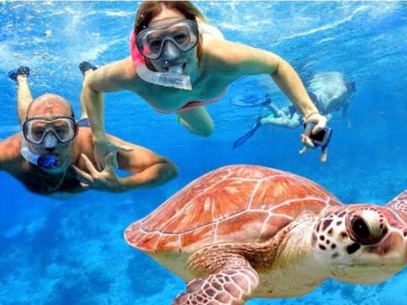 Bali: Blue Lagoon & Tanjung Jepun Snorkeling & lunch - From Seminyak or Ubud to Padangbai