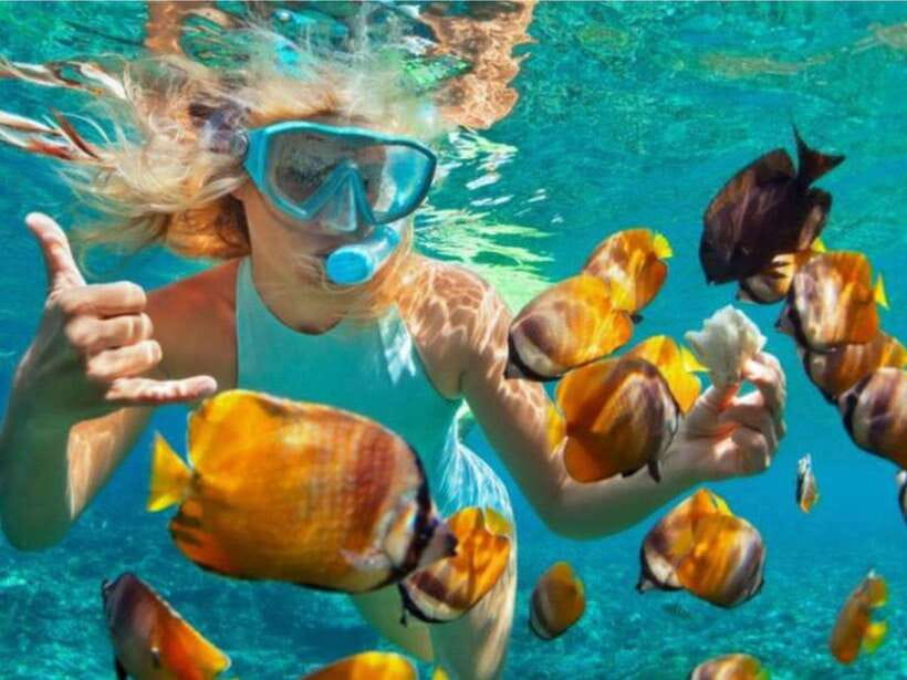 Bali: Blue Lagoon & Tanjung Jepun Snorkeling & lunch - Blue Lagoon, a deeper second stop with fish-feeding