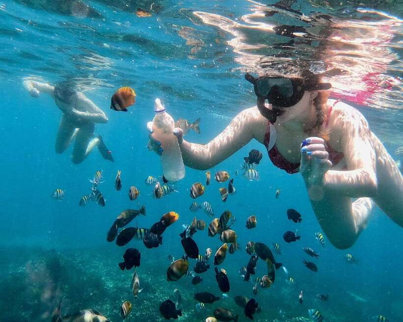 Bali: Blue Lagoon & Tanjung Jepun Snorkeling & lunch - Who will enjoy this Bali snorkeling trip