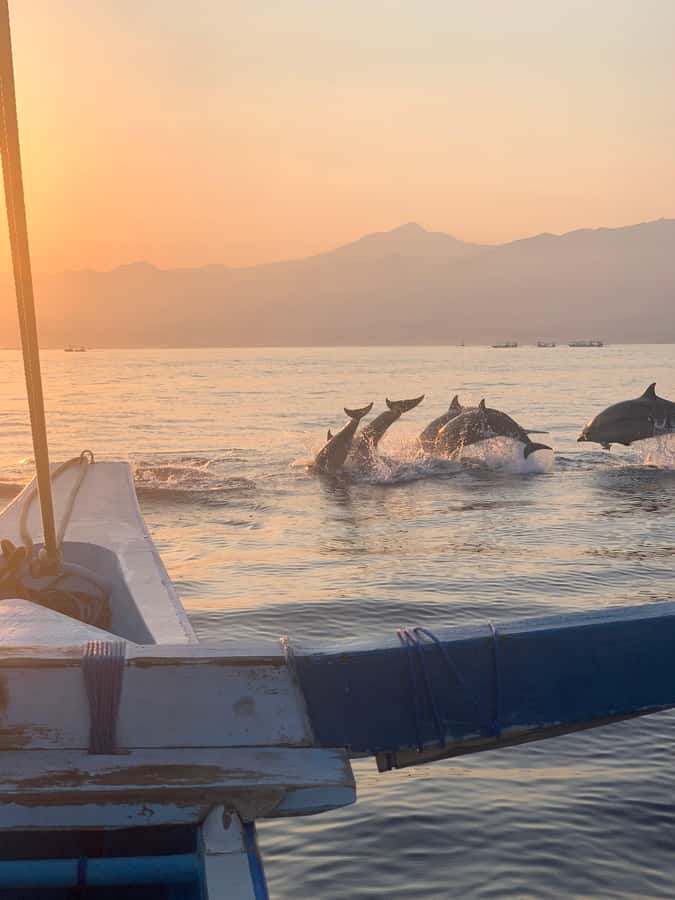 Bali: Dolphin Watching, Snorkeling, and Munduk Day Tour - Brahmavihara Arama, a quiet change of pace