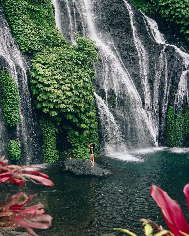 Bali: Dolphin Watching, Snorkeling, and Munduk Day Tour - Banjar Hot Springs and a useful hour to relax