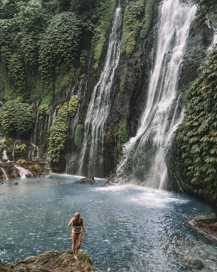 Bali: Dolphin Watching, Snorkeling, and Munduk Day Tour - Who will enjoy this tour most