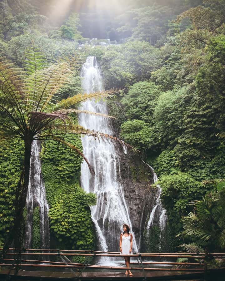 Bali: Dolphin Watching, Snorkeling, and Munduk Day Tour - Is the $85 price fair?