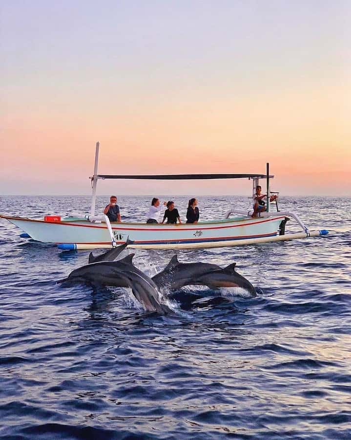 Bali: Dolphin Watching, Snorkeling, and Munduk Day Tour - Lovina Beach and the pre-sunrise dolphin trip