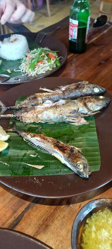 Bali : Fishing Trip & Blue lagoon Snorkeling : All Inclusive - Fishing in the Indian Ocean
