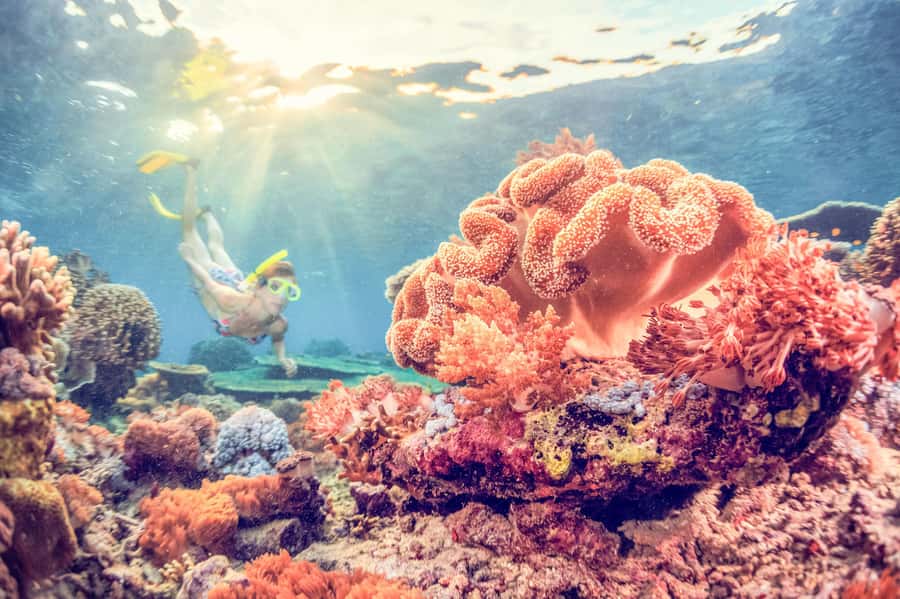 Bali: Full-Day Snorkeling Trip to Nusa Penida & Manta Point - Coral gardens, turtles, and a second water stop